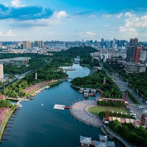市场竞争策略与分析，以2025新澳门正版免费为背景