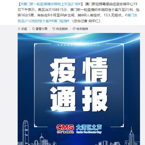 澳门信息精准公开与项目风险评估报告的深度解析