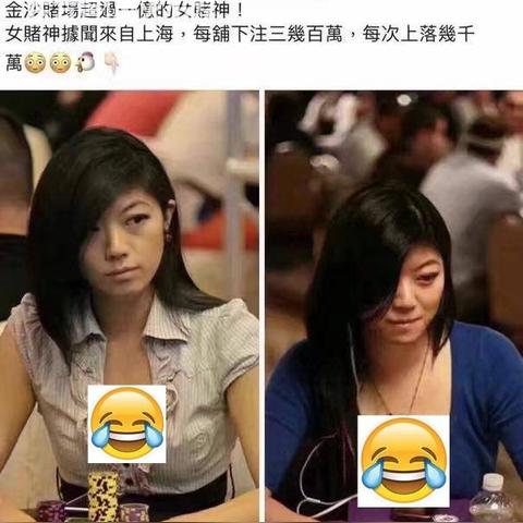 新奥门天天彩资料免费，应用领域及实例分析