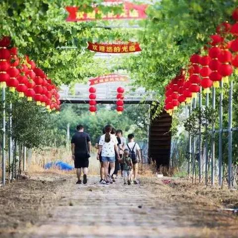 新奥全年免费资料更新与企业文化推广计划