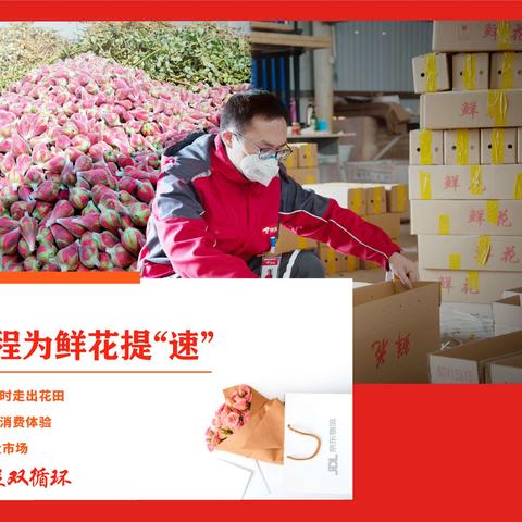 新澳门精准四肖期期准与供应链管理策略的深度融合与优化