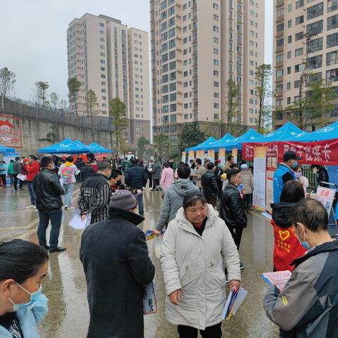 新澳最新最快资料大全与团队协作与沟通的双重提升