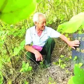 探寻未来——江淮汽车最新款轿车