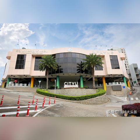 新澳门免费精准大全,国际市场拓展与合作