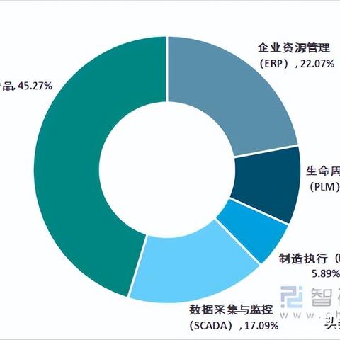 市场分析与开发策略