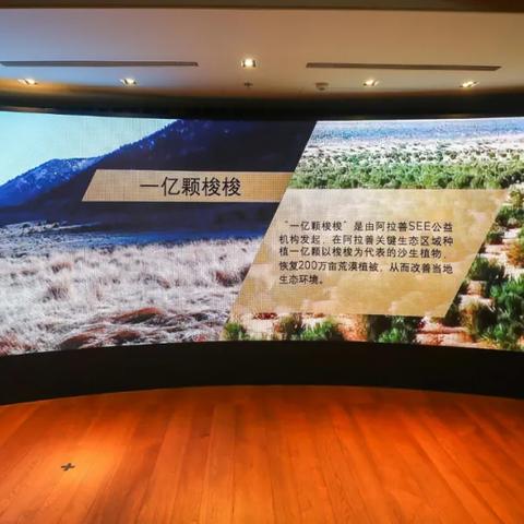 畅享自由之旅，最新款宝马敞篷跑车体验